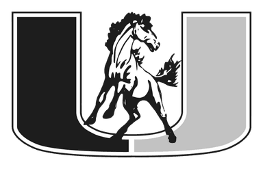 CUSD 4